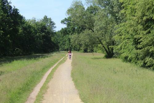 Spreewald Ferienwohnung L�bben