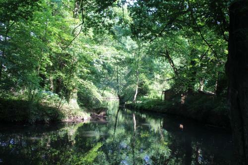 Spreewald Ferienwohnung L�bben