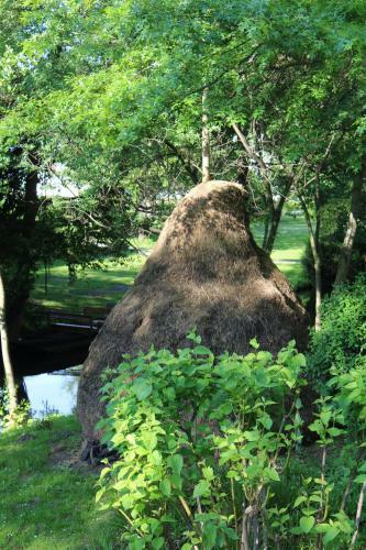 Spreewald Ferienwohnung L�bben