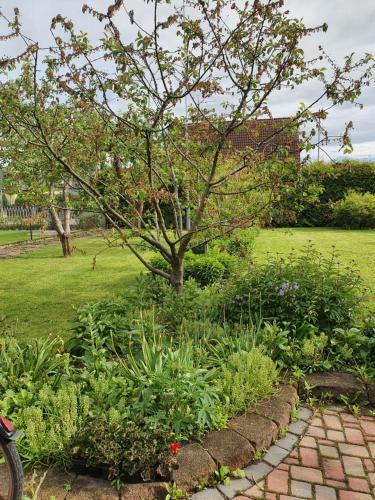 Apartamento Spreewald Ferienwohnung Noack
