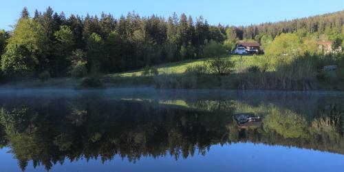 Apartamentos Ferienwohnungen Ludwigsthal