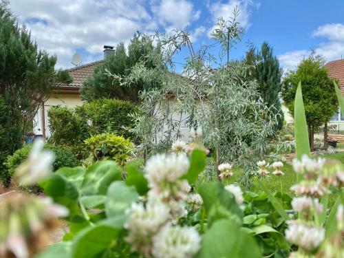 Apartmenthaus L�tt Meer