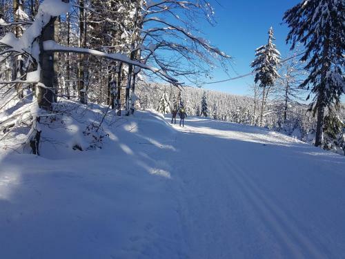 Posada Gasthof Alte Schmiede G*** L�ckendorf