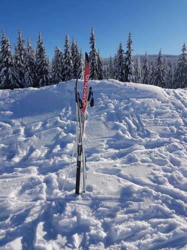 Posada Gasthof Alte Schmiede G*** L�ckendorf