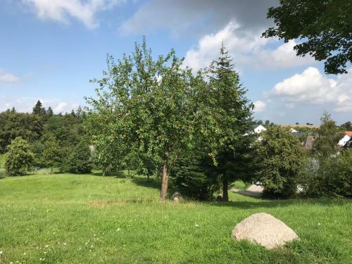 Apartamento Ferienhaus Vogelberg