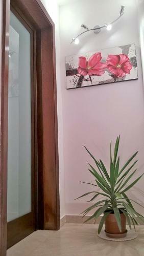 Apartamento Casa Sant'anna