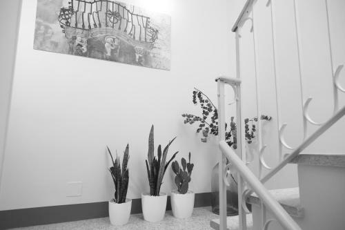 Hostal Tocco Barocco - Locazioni Brevi -