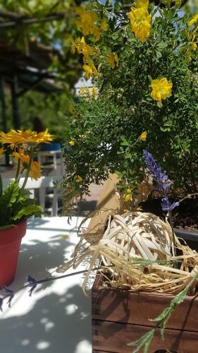 Hostal La Dimora Di Nonno Nuccio