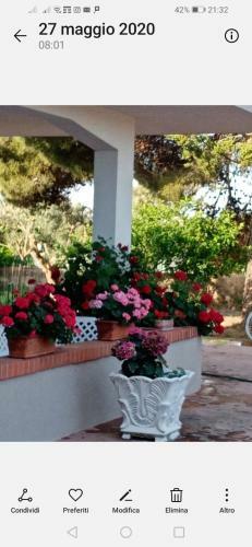 Hostal La Dimora Di Nonno Nuccio