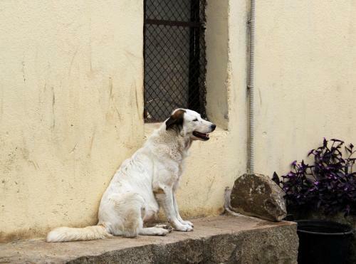 Villa Castiglione 1863 - The Real Sicilian Holiday