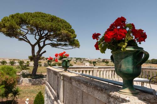 Villa Castiglione 1863 - The Real Sicilian Holiday
