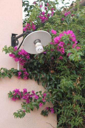 Holiday Villa Gelso - Ragusa