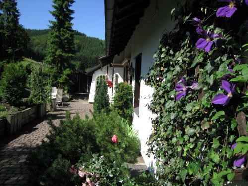Apartamento Ferienwohnung B�cker