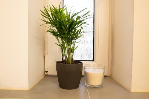 Full House Studios - Blue Apartment - Netflix, Wifi Inkl