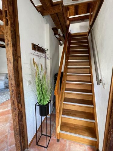 Ferienhaus Zur Hofreite
