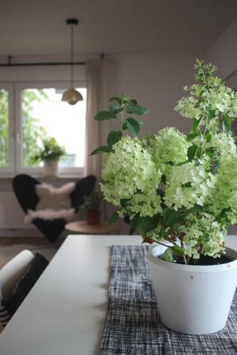 Apartamento Zuhause Mit Berg-und Bodenseesicht