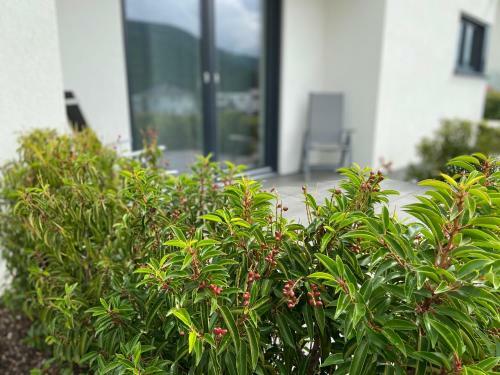 Apartamento Ferienwohnung Weinbergblick