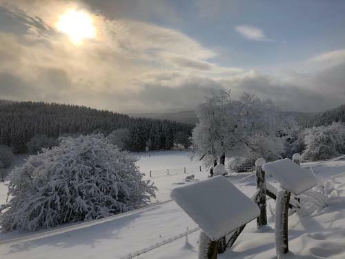 Ferienhaus K�stelblick