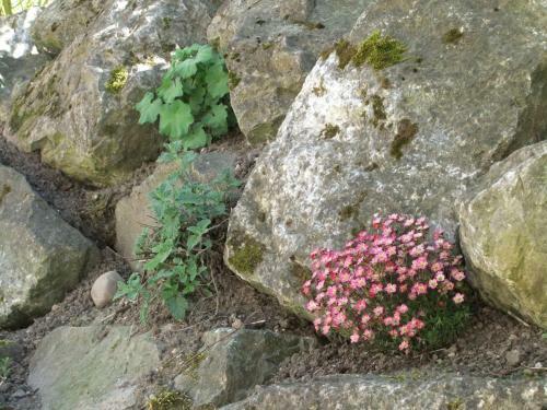 Apartamento Gerberlaube