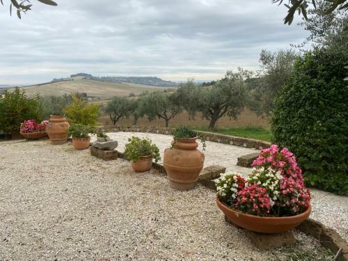 Le Belle Marche Country House