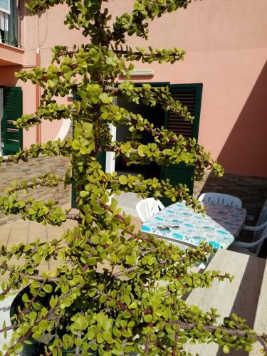 Apartamento Casa Vacanza Rosariomaria