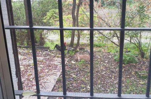 Apartamento Casetta Sul Fiume...in Citt�