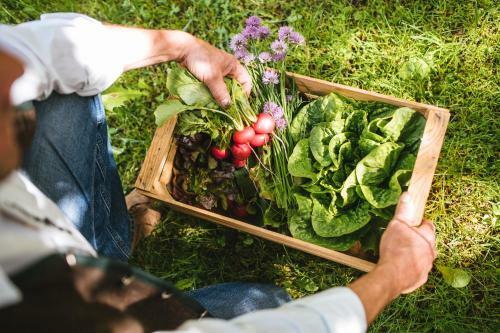 Hotel Zum Mohren
