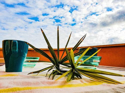 Apartamento La Pergola Al Cavo 10