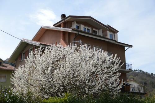 Apartamento A 48 Passi Dalle 5 Terre