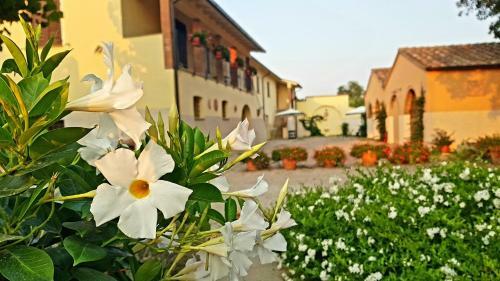 Agroturismo Punta Dei Lecci