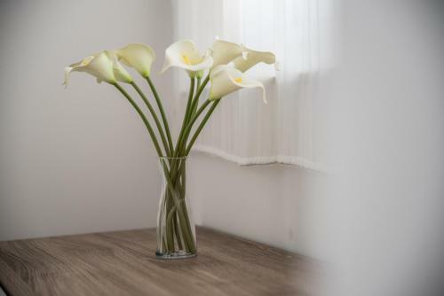 Apartamento Terrazzo Siciliano