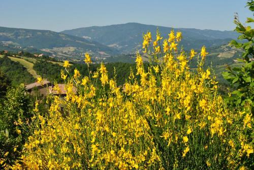 Hotel Il Borgo Casteldelci