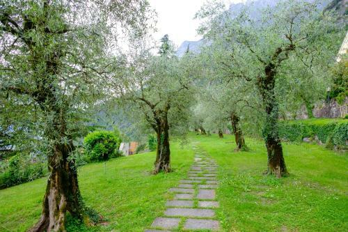 Apartamento Appartamento Olivo