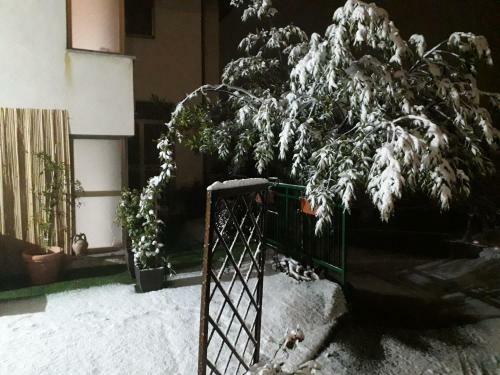 Apartamento House Rose