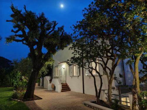 Villa Indipendente Con Discesa Al Mare Privata