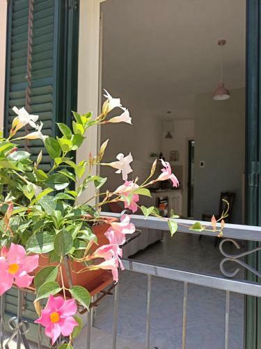Apartamento Nonna Lucia - Casa Vacanze