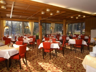 Hotel Europark International