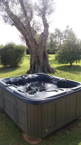 Bed & Breakfast Crisam
