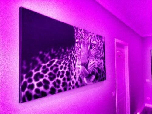 Hostal Luxury Rooms Sixty Six