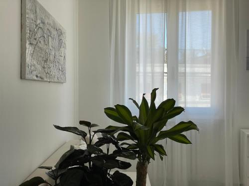 Apartamento Atelier Rimini 2