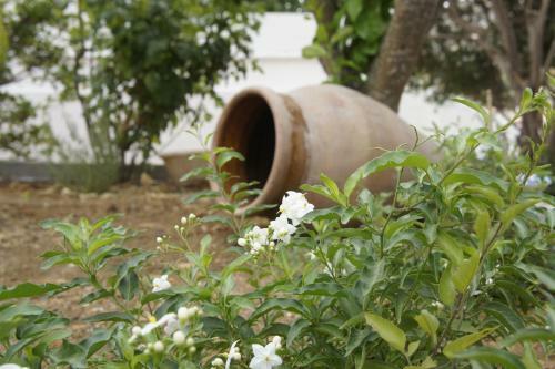 Apartamento My Sicily Home-casa Con Giardino