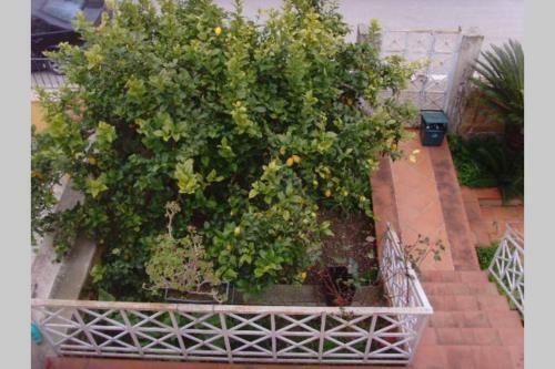 Apartamento Filly