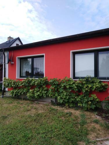 Apartamento Ferienwohnung Kathrin Kankel Alt Reddevitz