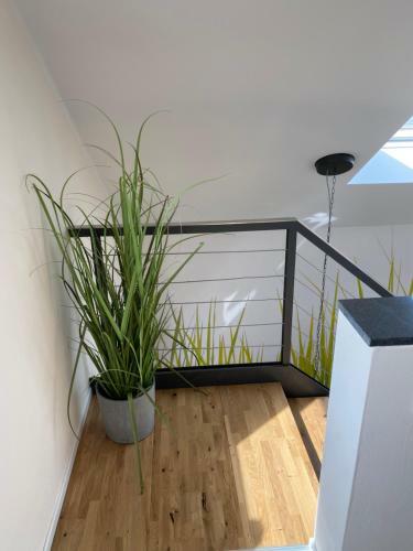 Apartamento Bauernhaus Loth - Exklusive Ferienwohnungen