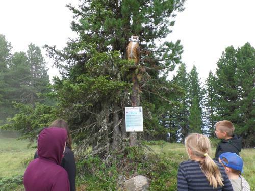 Hotel Gasthof Sch�pf