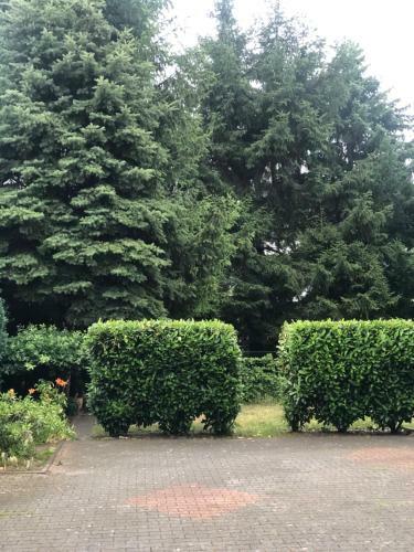 Apartamento Dachappartment Saarn