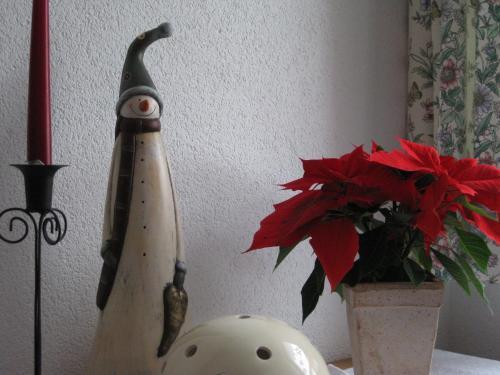 Apartamento Gundolf Appartement