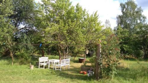Apartamento Ruheoase Mit Baumkronenblick