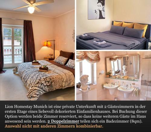 Lion Homestay Munich