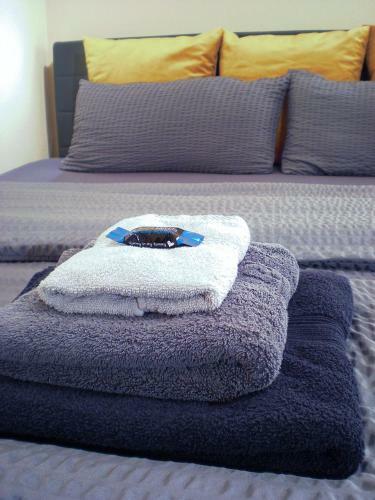 Lion Homestay Munich